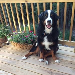 Meet your Posher, Melanie